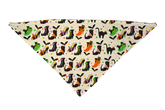 Witch's Shoes Color Dog Bandana